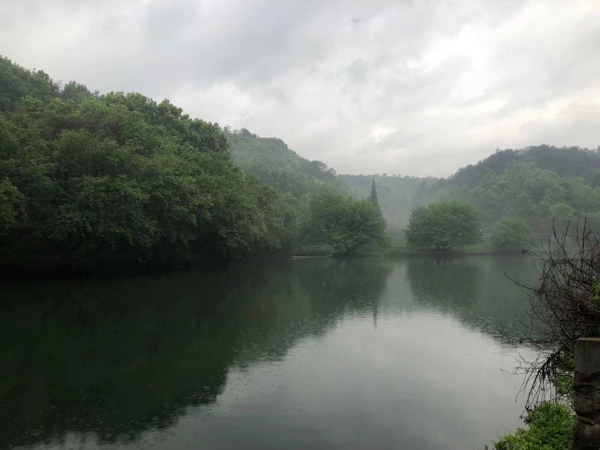 酒駕案件如何上訴？深圳酒駕律師為您解答